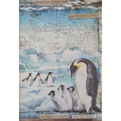 Rizspapír - Déli sark pingvinekkel
